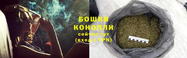 бутират Белокуриха