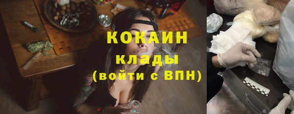 мдпв Богородск