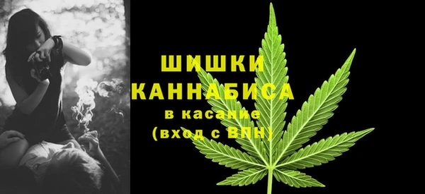 бутират Белокуриха