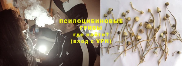 бутират Белокуриха