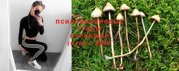 бутират Белокуриха
