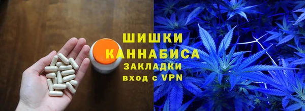 молекула духа Пестово