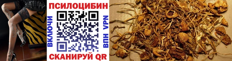 Галлюциногенные грибы Psilocybine cubensis  Острогожск 